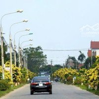 Bán Đất Tại Xuân Lộc, 1,37 Tỷ, 137M2, Giá Ưu Đãi Hàng Hiếm Tại Thanh Thủy, Phú Thọ
