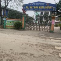 Bán Đất Thổ Cư Chính Chủ Gần Trường Cấp 1, Cấp 3 Tân Lập, 3 Bước Ra Đến Dự Án Vinhome Đan Phượng