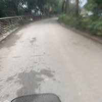 Bán Đất Thổ Cư Chính Chủ Gần Trường Cấp 1, Cấp 3 Tân Lập, 3 Bước Ra Đến Dự Án Vinhome Đan Phượng