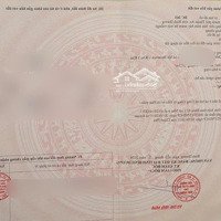 Chung Cư Xã Hội Việt Sing, Lầu 4 Sổ Hồng 375 Triệu (100% Tiền) Sài Gòn Mua Được, Thuê Được 2, 5 Triệu