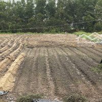 Tôi Cần Bán Gấp 4125M2 Đất Giá 2, 9 Triệu/M2