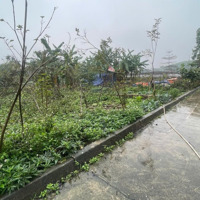 Siêu Phẩm Hàng Hiếm 19M Mặt Tiền Mới Ra Lò Tuyến 2 Bãi Dài 557M2 Có 200M2 Thổ Cư