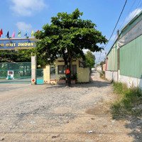 Cho Thuê Đất Chính Chủ Sau Trường Học, Có Thể Để Đồ Buôn Bán, Thuận Lợi Buôn Bán Tờ 15 Thửa 104
