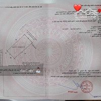 Bán Toà Nhà Mặt Tiền Lê Chân Có Dòng Tiền Cho Thuê Ổn Định