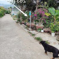 Từ 580 Triệu/ 101 M2 Đến 1,6 Tỷ/ 263 M2 Vài Lô Đất Diên Lạc, Diên Khánh Giá Đầu Tư