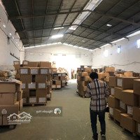 Cho Thuê Kho, Nhà Xưởng Tại Đinh Đức Thiện, Bình Chánh, 50 Triệu, 1200 M2 Giá Tốt