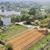 Bán Đất Gần Khu Cnc Hòa Lạc, Ngay Ngã 4 Thành Phố Hòa Lạc,Diện Tích193M2 Giá Tốt Nhất Thị Trường
