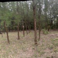 Chính Chủ Bán Đất Mặt Biển Diện Tích 256M Phù Hợp Xây Homestay