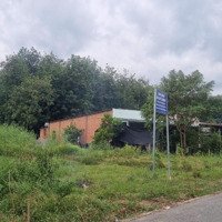 Ngân Hàng Thanh Lý 881M2 (Ngang 10M) Đường Nhựa Tại Phú An, Bến Cát, Bình Dương, 2,431 Tỷ