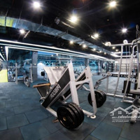 Cho Thuê Mặt Bằng Kinh Doanh Đường Giải Phóng, Vị Trí Đẹp, Dễ Kinh Doanh, 500M2, Mặt Tiền 30M