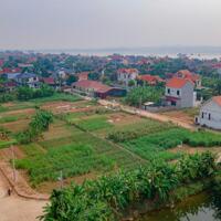 Chính Chủ bán nhanh 125m tại xuân lộc Thanh Thuỷ Phú Thọ