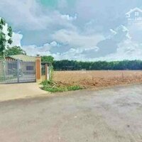 Chính chủ cần tiền nên bán gấp lô đất 1033m2, cạnh kcn lớn, giá 130tr