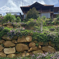 Bán Villa Nghỉ Dưỡng Cao Cấp Khu Vực Bảo Lâm