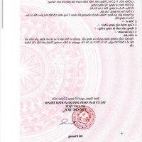 Hoa Hồng Cao Cho Người Giới Thiệu Vì Cần Gấp