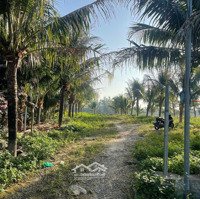 Cần Bán Lô Đất View Sông Cái, Diên Phú, Nha Trang Giá 4 Tr/M2