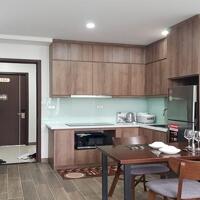Cho thuê căn hộ 1 phòng ngủ đẹp, tiện nghi tại Tô Ngọc Vân, Tây Hồ, rộng 50m2