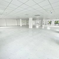 Tòa Nhà Mới Xây Ngay Mặt Tiền Nguyễn Văn Thủ - Phùng Khắc Khoan, Quận 1 - 15X 30M. Hầm 5 Lầu