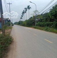 Chính Chủ Bán Đất Tại Song Phương Hoài Đức,Diện Tích408M2, Gần Đường Nhựa, Giá Nhỉnh 4 Triệu/M2