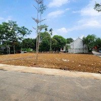Chính Chủ Bán Gấp 263.8M2 Trục Chính Thôn 2 Phú Cát Đường Aphan