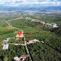 Siêu Phẩm Săn Mây Cách Dt725 Chỉ 700M, Cách Nhựa 300M, Đường Thông Tứ Hướng
Bán Kính 2-3Km Đầy Đủ.