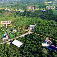 Siêu Phẩm Săn Mây Cách Dt725 Chỉ 700M, Cách Nhựa 300M, Đường Thông Tứ Hướng
Bán Kính 2-3Km Đầy Đủ.