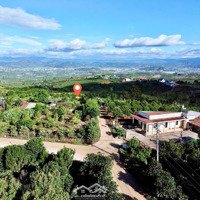 Siêu Phẩm Săn Mây Cách Dt725 Chỉ 700M, Cách Nhựa 300M, Đường Thông Tứ Hướng
Bán Kính 2-3Km Đầy Đủ.