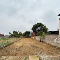 Bán Đất 160M2 Tại Xã Minh Phú, Sóc Sơn, Hà Nội, Giá Bán 14,5 Triệu / M2