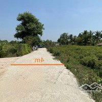Ngân Hàng Thanh Lý 436,1M2 Full Thổ Tại P1, Tp Tây Ninh, Giá Chỉ 1,165 Tỷ