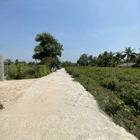 Ngân Hàng Thanh Lý 436,1M2 Full Thổ Tại P1, Tp Tây Ninh, Giá Chỉ 1,165 Tỷ