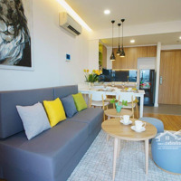 Hot Cho Thuê Nhanh Căn Hộ 1 Phòng Ngủtại Chung Cư Cao Cấp Newton, Phú Nhuận. Lh Xem Căn Hộ: 0934977411