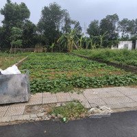 Bán Đất Phú Cát 239M Mặt Đường Nhựa Giá Rẻ Chỉ 1Xtr/M