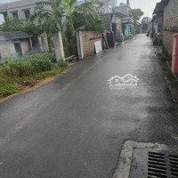 Bán Đất Phú Cát 239M Mặt Đường Nhựa Giá Rẻ Chỉ 1Xtr/M