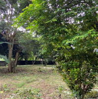 Đất Nền 2000M2 Đẹp Xuất Sắc, Giá Tốt Tại Quốc Lộ 6, Lương Sơn, Hòa Bình