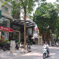 Bán Nhà 6 Tầng Mặt Ngõ To - Đẹp Nhất Phố Đào Tấn, Ba Đình: Diện Tích 110M2 Mt6.6M Lô Góc Ô Tô Qua
