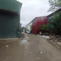 Cho Thuê Kho Cạnh Cây Xăng Vân Canh, Đường 70 Hoài Đức Khung Sắt Mái Tôn,Diện Tích220 M2 Mặt Tiền 10M