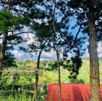 Bán 429M2 View Cáp Treo An Bình Cực Đẹp Chỉ 13Ty5