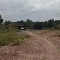 Cho Thuê Đất Mặt Tiền Mỹ Phước Tân Vạn Dĩ An Bình Dương - Hợp Đồng 15 Năm