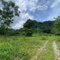 Bán Đất Đông Hà, Đông Hưng, Thái Bình, Giá Tốt 4,2 Tỷ, 153M2 Hàng Hot