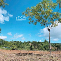 Bán Đất Đông Hà, Đông Hưng, Thái Bình, Giá Tốt 4,2 Tỷ, 153M2 Hàng Hot