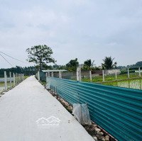 Bán Gấp 106M Đất Đạc Tài Mai Đình Full Đất Ở Ô Tô Vào Nhà 29 Triệu/M