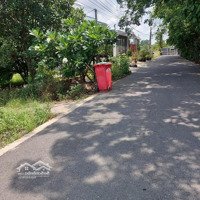 Cần Tiền Chủ Cần Bán Gấp Lô Đất Tại Phường Tân Định Mặt Tiền Đường Nhựa 6M Chùa Tổ Giá Rẻ.