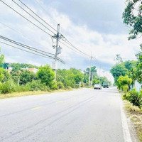 Mặt Tiền Đường Trung Lập, Xã Phú Mỹ Hưng Củ Chi Đất Đẹp Tiềm Năng X2X3 Trong Tương Lai