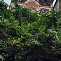 Cho Thuê Nhà Ngõ Oto Kinh Doanh Online Tam Trinh
