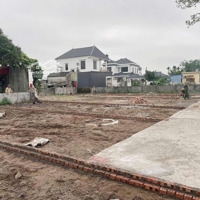 Bán Đất Cốc Liễn Minh Tân Ngõ Ô Tô Giá Chỉ Nhỉnh 600 Triệu Tý