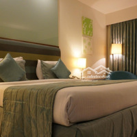 Cho Thuê Khách Sạn 5 Tầng Đường Hà Huy Tập - Thanh Khê Diện Tích: 200M2 (Ngang 10M)