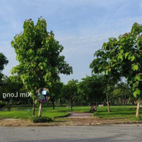 Chính Chủ Bán Đất Tàm Xá ,Diện Tích120M2,Mặt Tiền5M, Đường Rộng Oto Vào Đất, Cạnh Vin Tàm Xá, Giá Rẻ