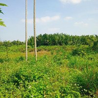 Chủ Kẹt Tiền Cần Bán Lô Đất Tạimặt Tiềnđường Dx 017, Cẩm Thanh Giá Bán 18 Tỷ