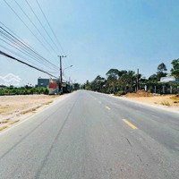 Đất An Phước Long Thành Ngộp Chủ Cần Bán Gấp