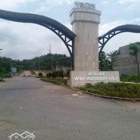 Bán Gấp Đất Nền Dự Án Kosy Mountain View, 4,5 Tỷ, 498M2, Bình Minh, Lào Cai