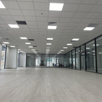 Chính Chủ Cho Thuê Văn Phòng 200M2-500M2 Tòa Nhà Cao Cấp Số 201 Trường Chinh. Hầm Để Xe Siêu Rộng
